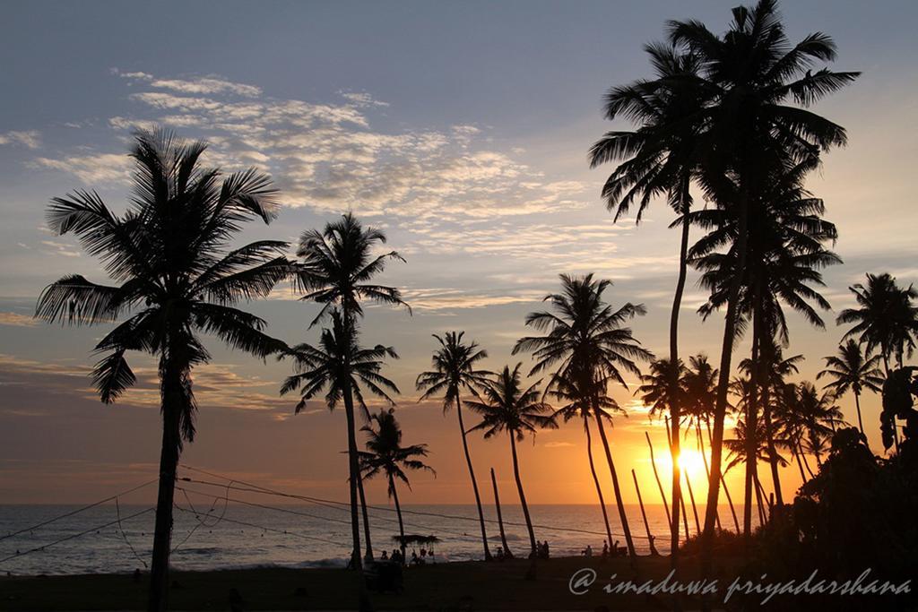 Lion's Rest होटल Weligama