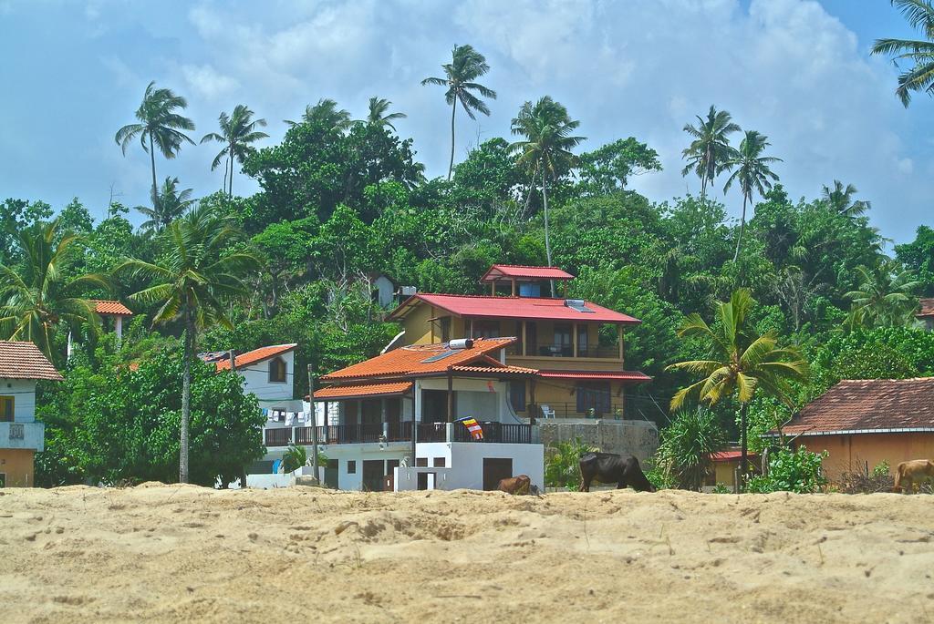 Lion's Rest होटल Weligama