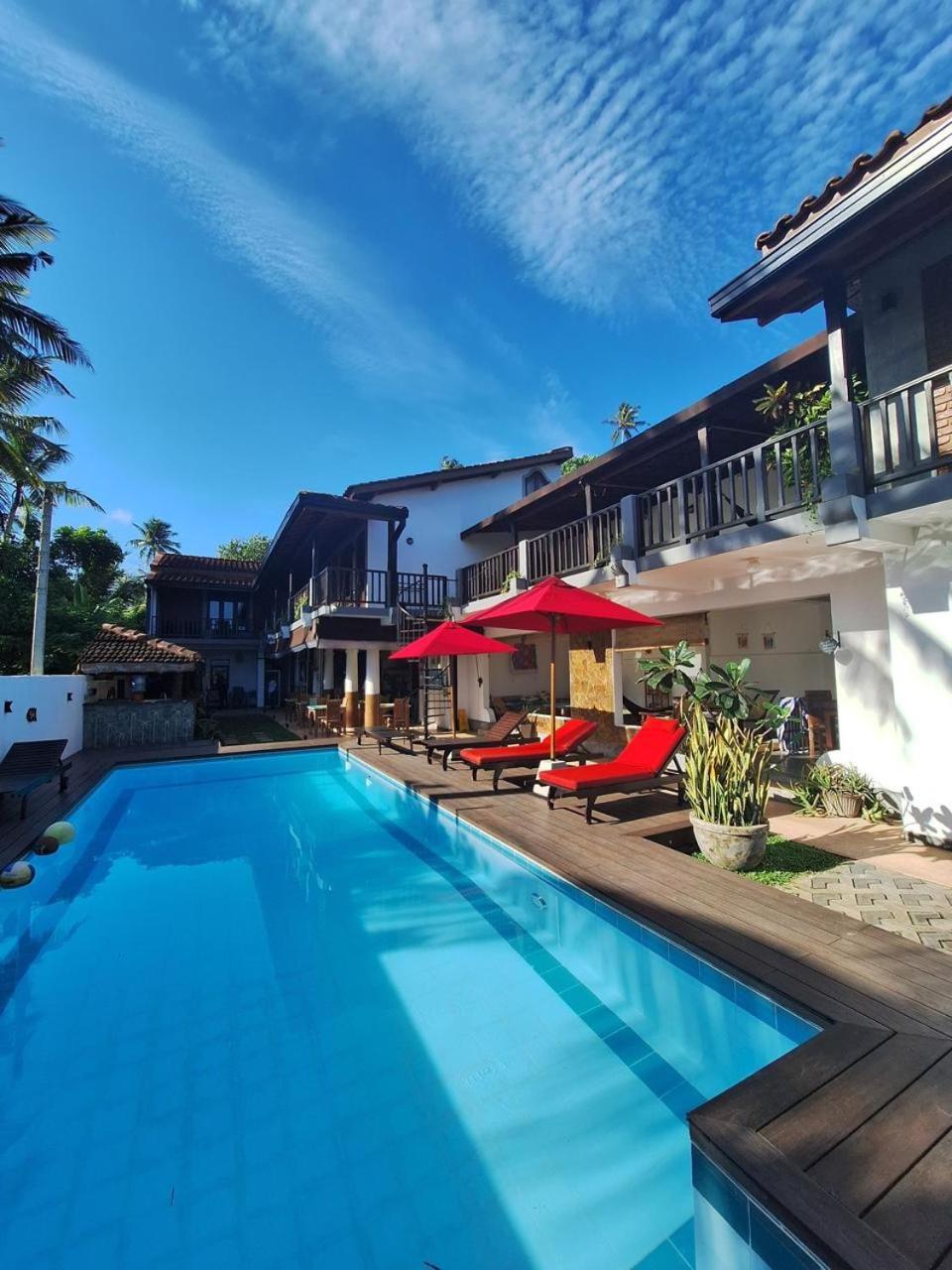 Lion's Rest Weligama